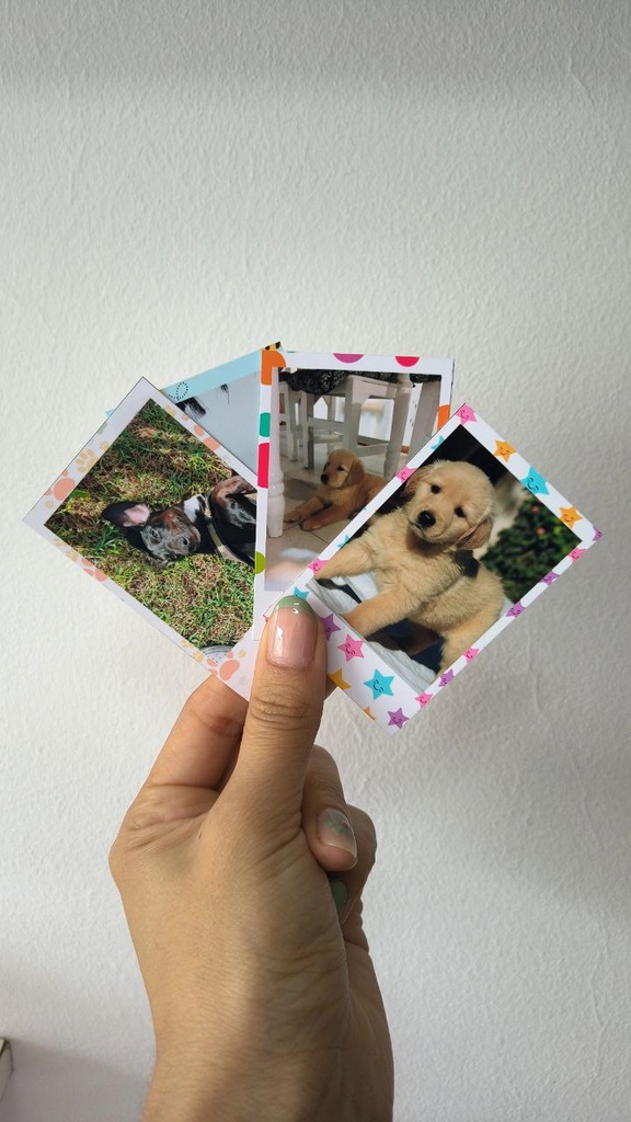 Polaroid (40 unidades)